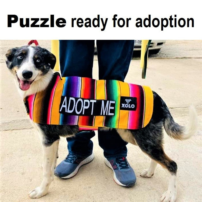 'ADOPT ME' DOG SARAPE XOLO