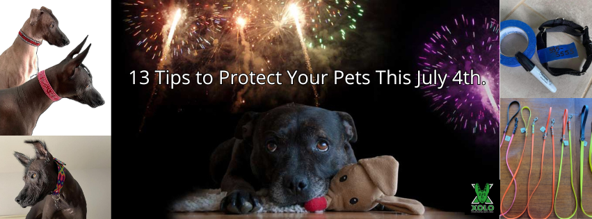 13 Tips to Protect Your Pets This July 4th.
