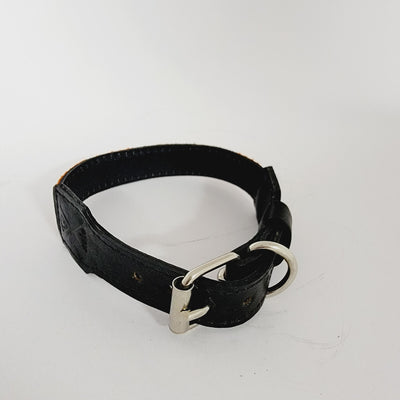 SMALL DOG COLLAR OF OAXACA. A0048