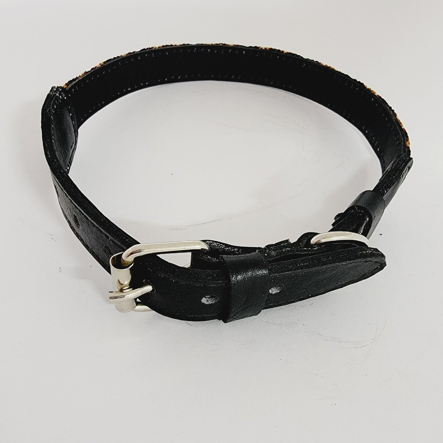 C5665 LARGE DOG COLLAR CHIAPAS