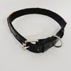 SLIM LARGE DOG COLLAR FROM CHIAPAS. 5659