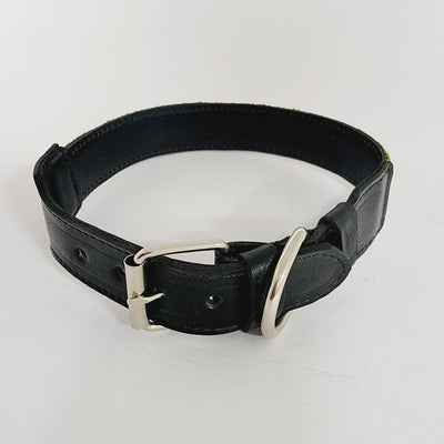 LARGE DOG COLLAR FROM CHIAPAS. 5654