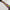 C5646 EXTRA LARGE DOG COLLAR CHIAPAS