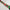 C5649 EXTRA LARGE DOG COLLAR CHIAPAS
