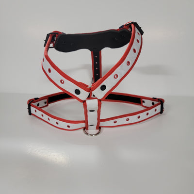 CHIVAS DOG HARNESS