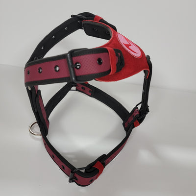 SCARLET WITCH DOG HARNESS