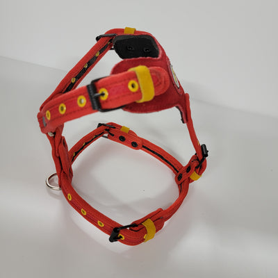 FLASH DOG HARNESS