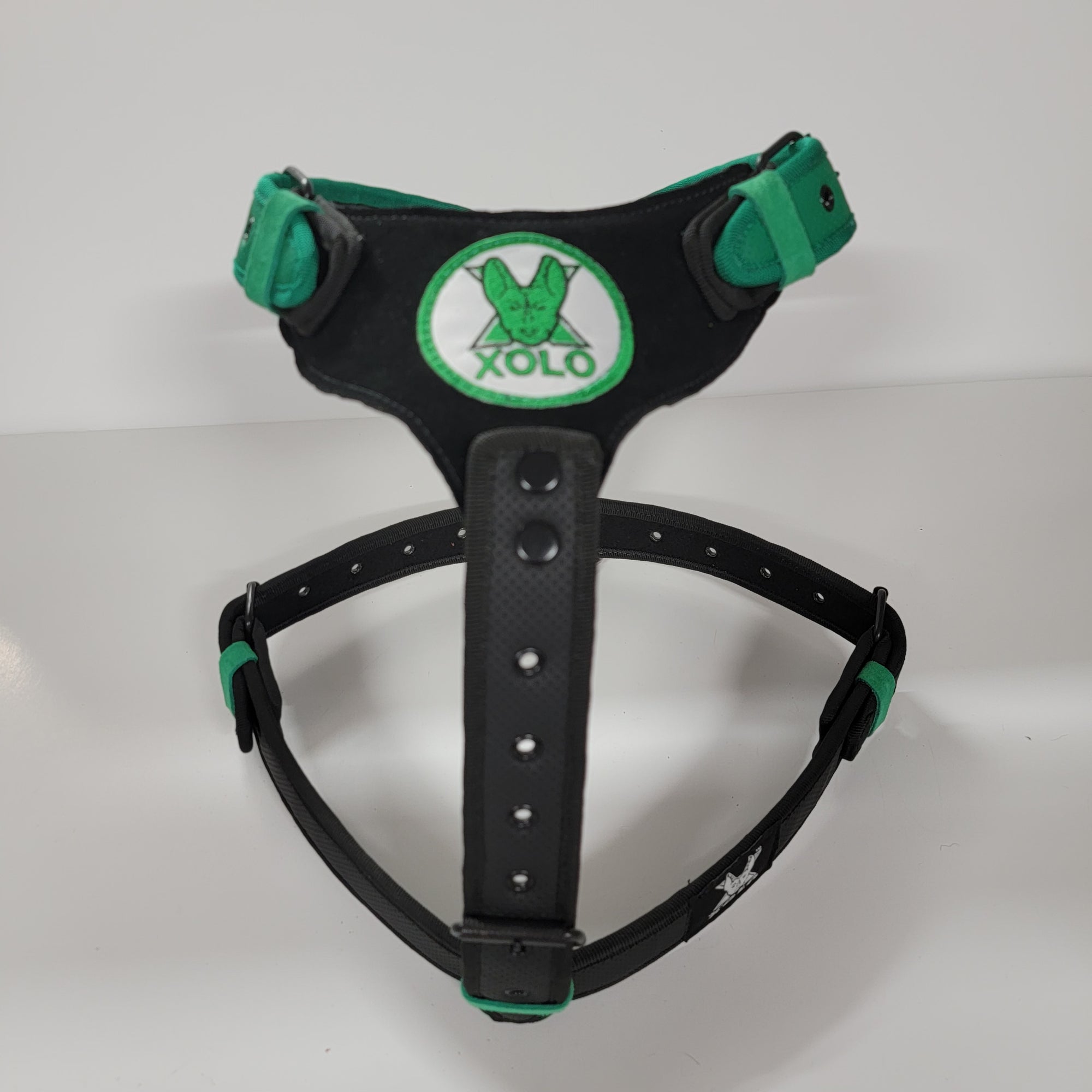 XOLO GREEN DOG HARNESS