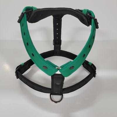 XOLO GREEN DOG HARNESS