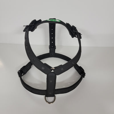 XOLO BLACK DOG HARNESS