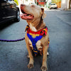 CAPTAIN MARVEL DOG HARNESS