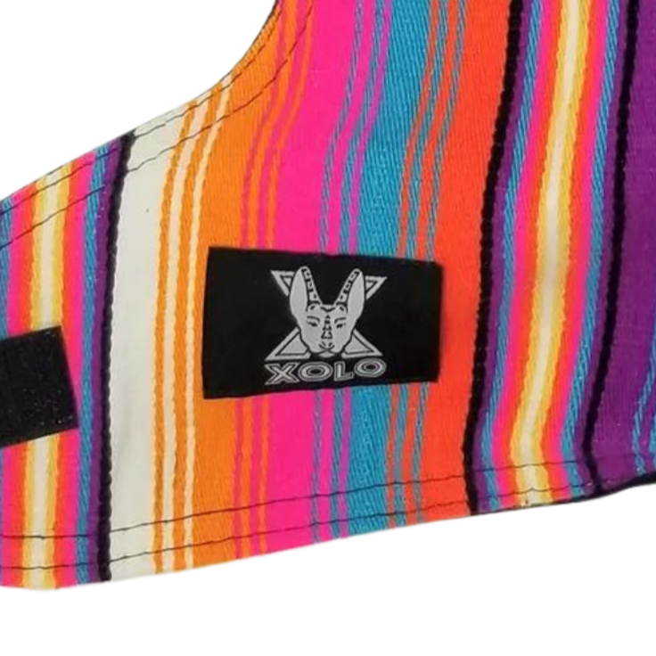 PASTEL SARAPE DOG DRESS