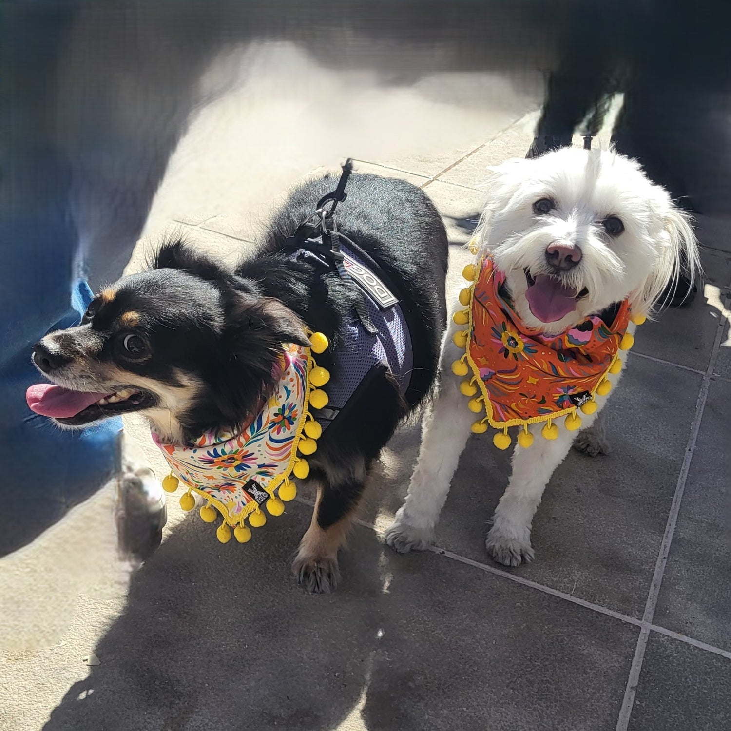 Lifestyle Velcro Dog Bandana L – White | LB016