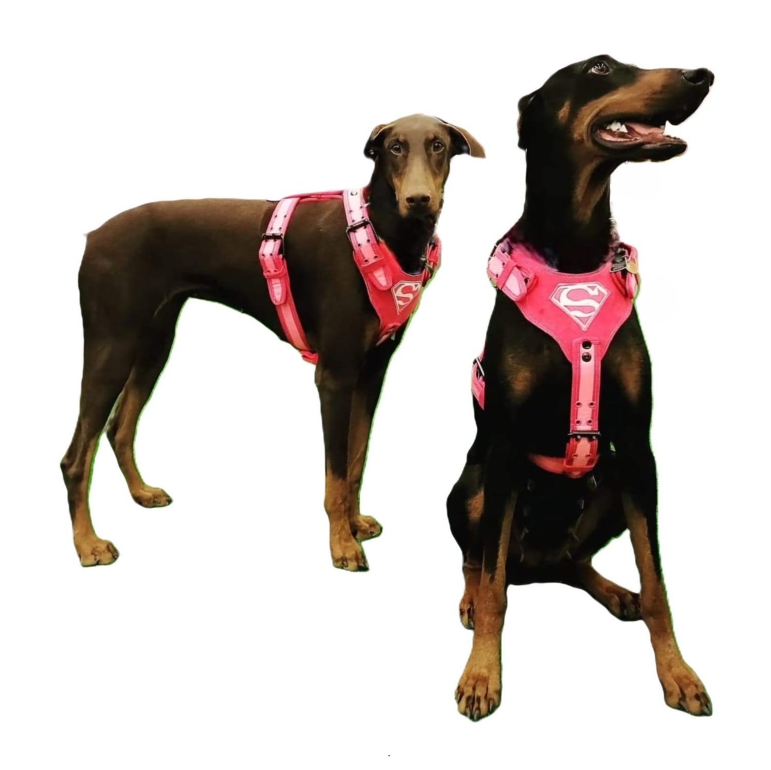 BATMAN BLUE DOG HARNESS