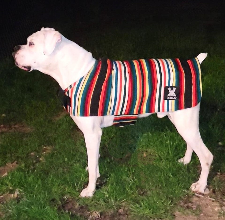 RUMBA SARAPE DOG JACKET