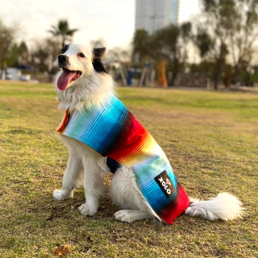 RETRO SARAPE DOG JACKET – Xolo Sarapes