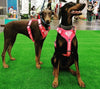 SUPERWOMAN DOG HARNESS