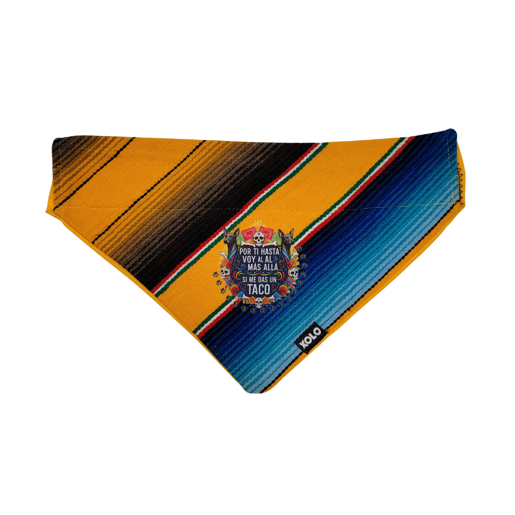 L - SB031