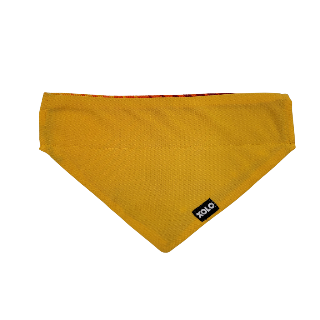 M - SB046