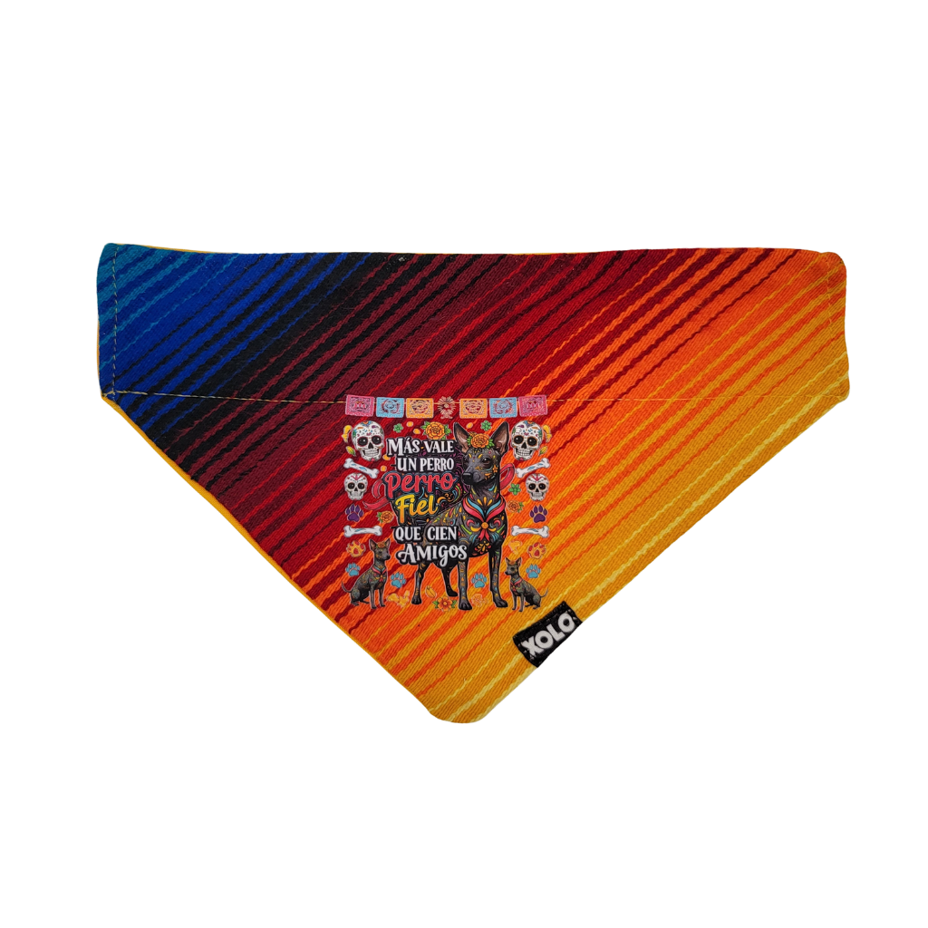 M - SB050