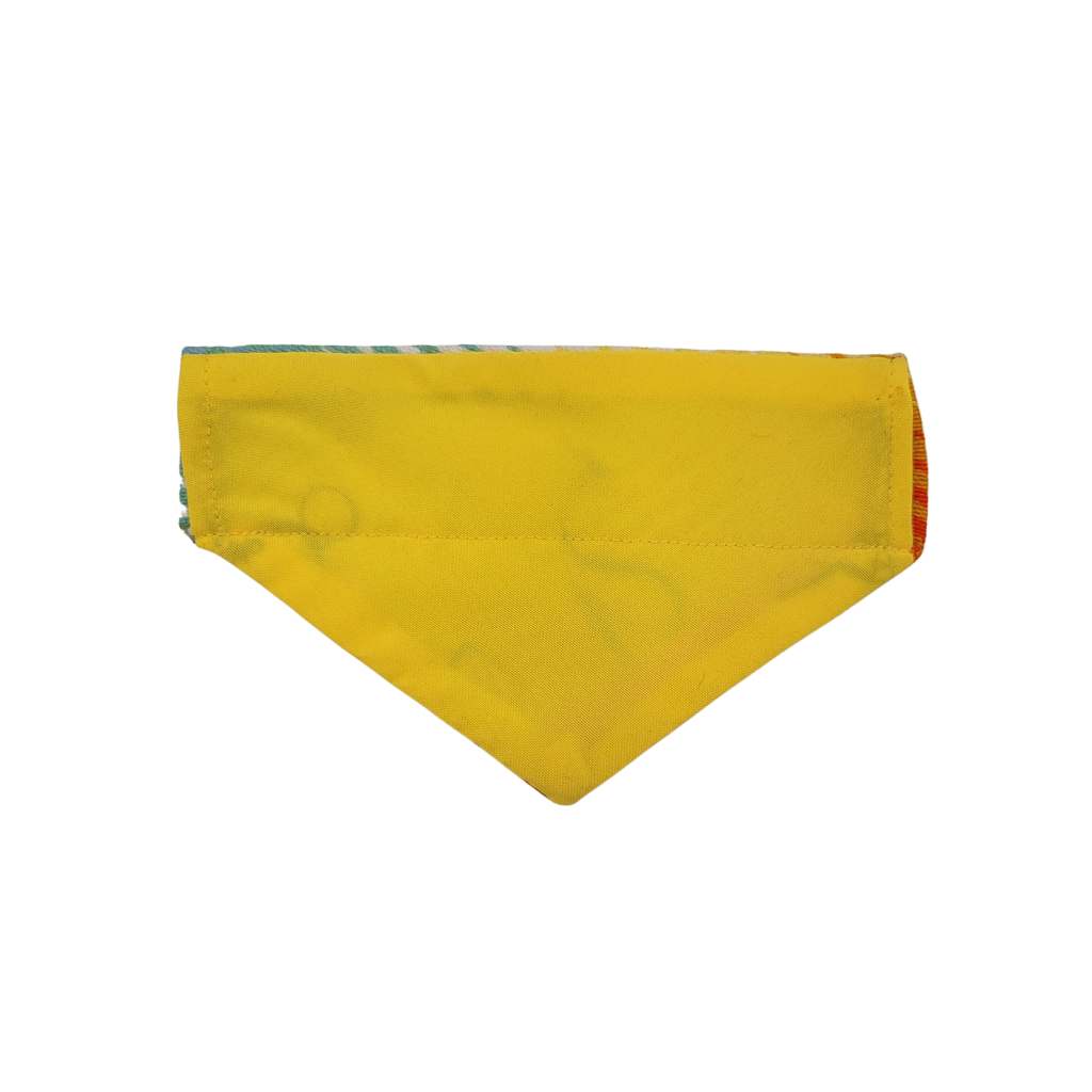 S - SB038