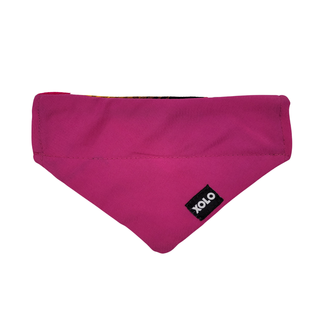 S - SB039
