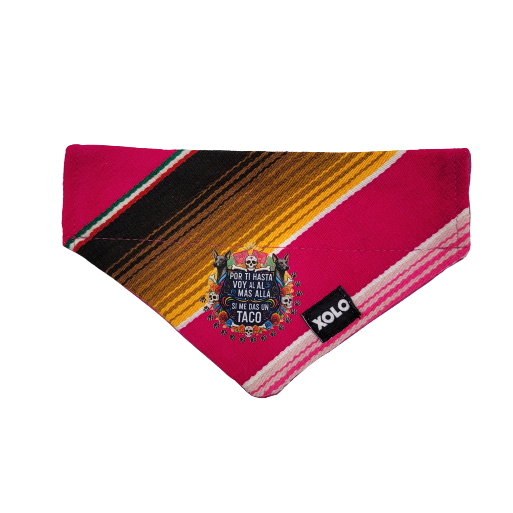 S - SB039
