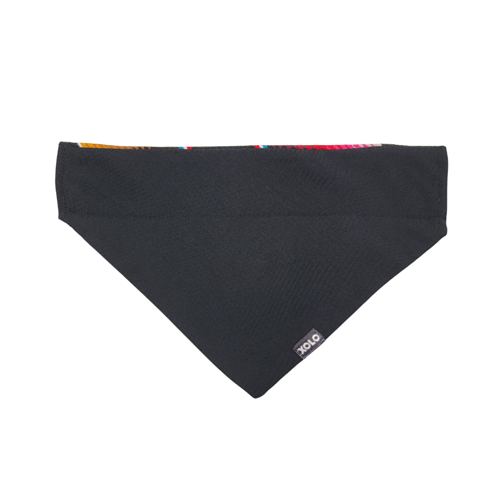 L - SB019