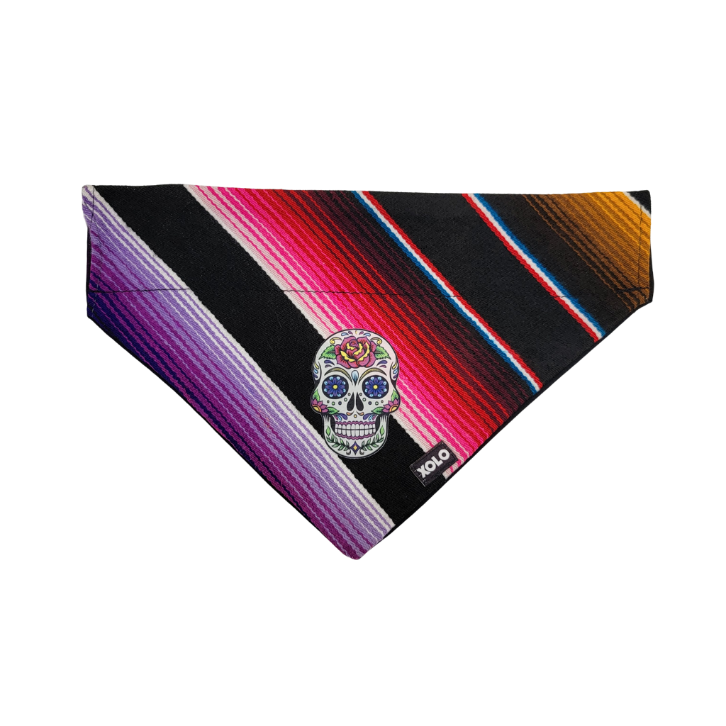 L - SB019