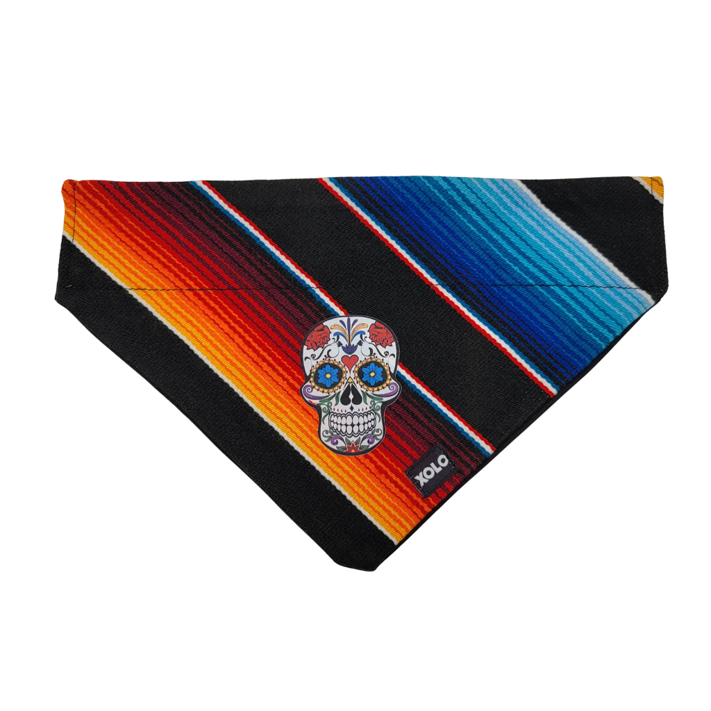 L - SB021