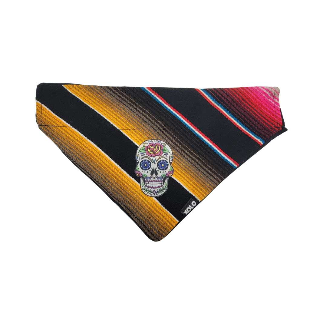 L - SB024