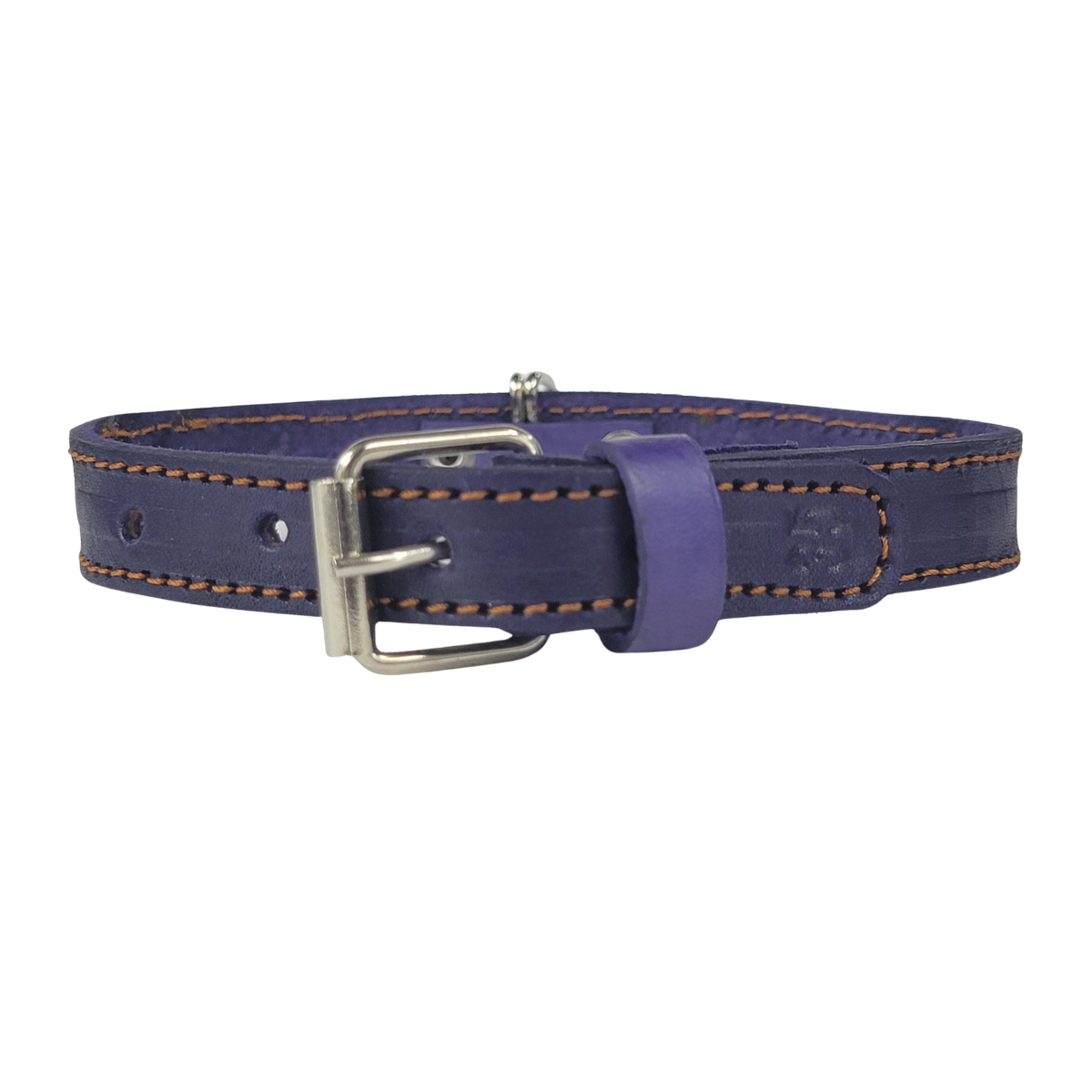 C5030 EXTRA SMALL BUDGET FRIENDLY DOG COLLAR CHIAPAS (35 cm)