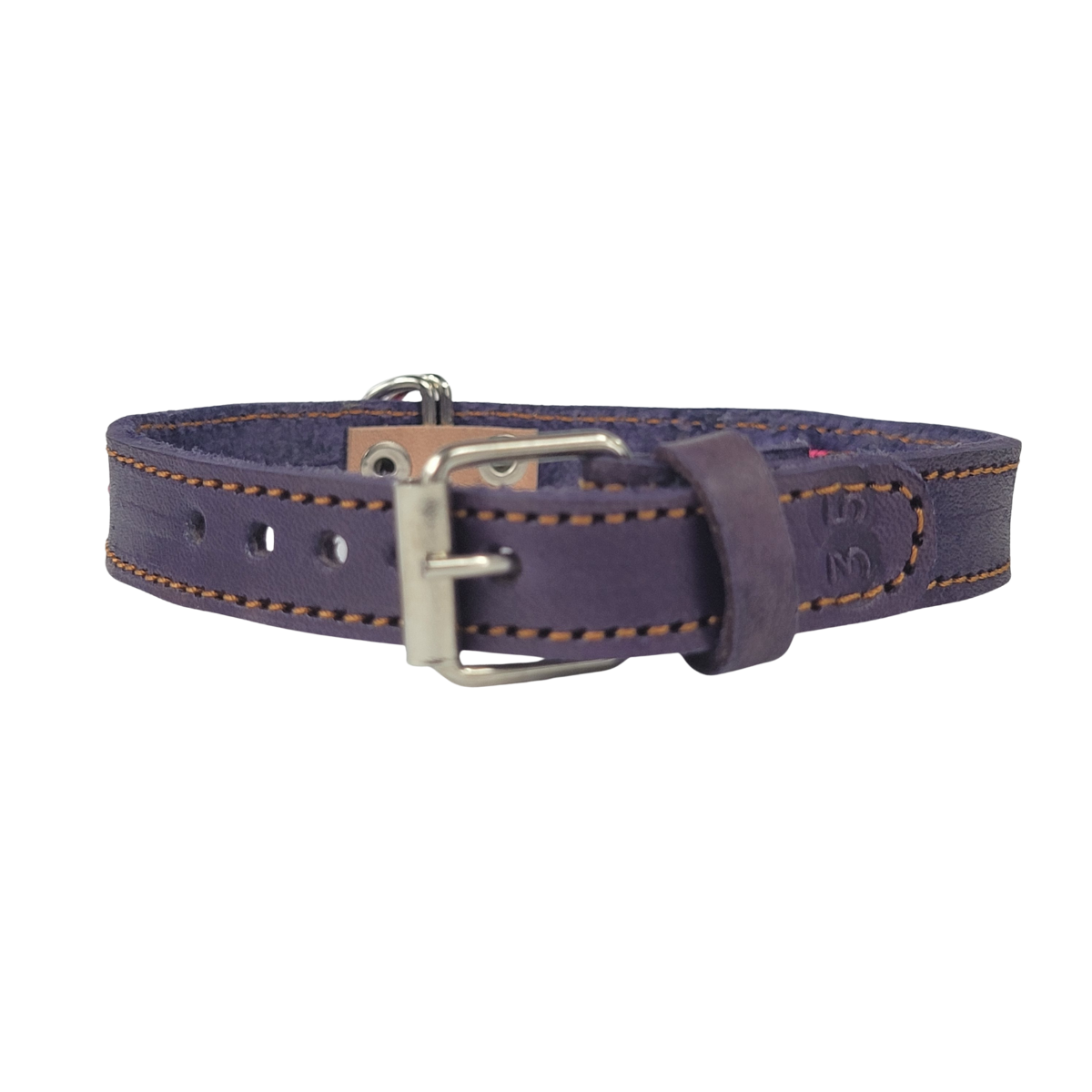 C5031 EXTRA SMALL BUDGET FRIENDLY DOG COLLAR CHIAPAS (35 cm)