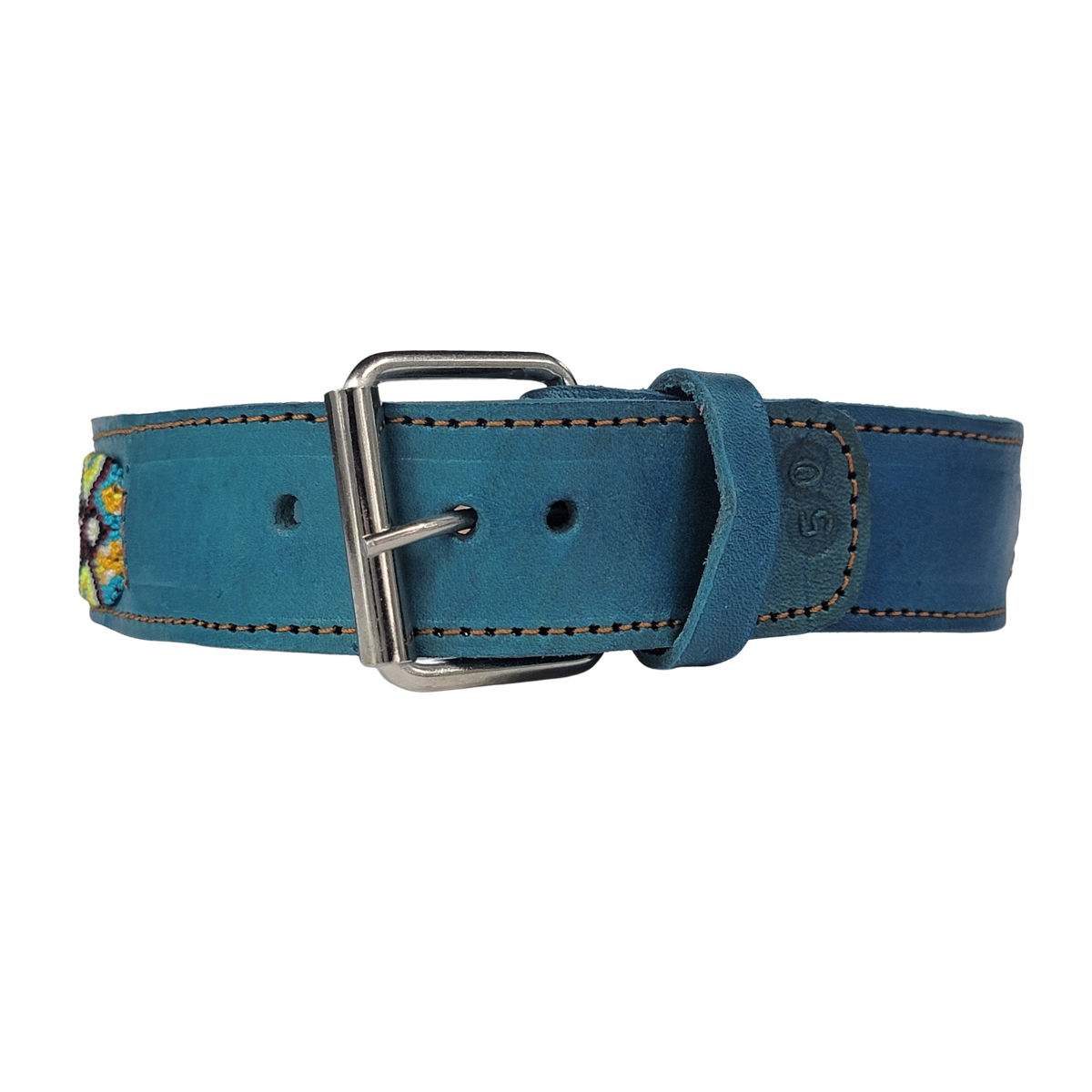 C5038 MEDIUM BUDGET FRIENDLY DOG COLLAR CHIAPAS (50 cm)