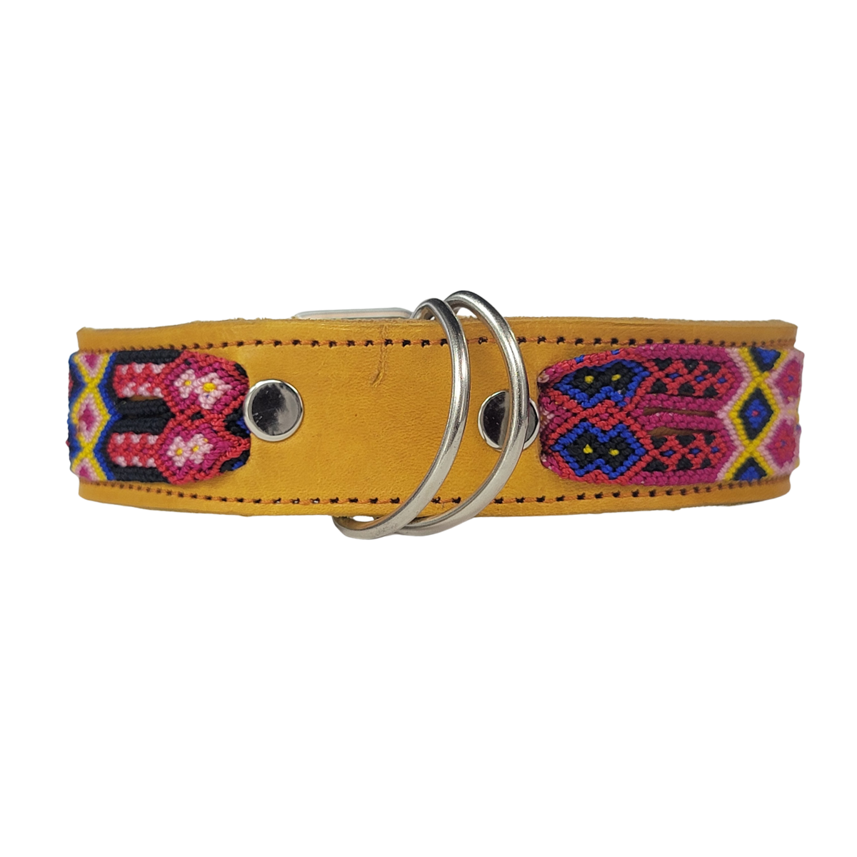 C5050 MEDIUM BUDGET FRIENDLY DOG COLLAR CHIAPAS (50 cm)