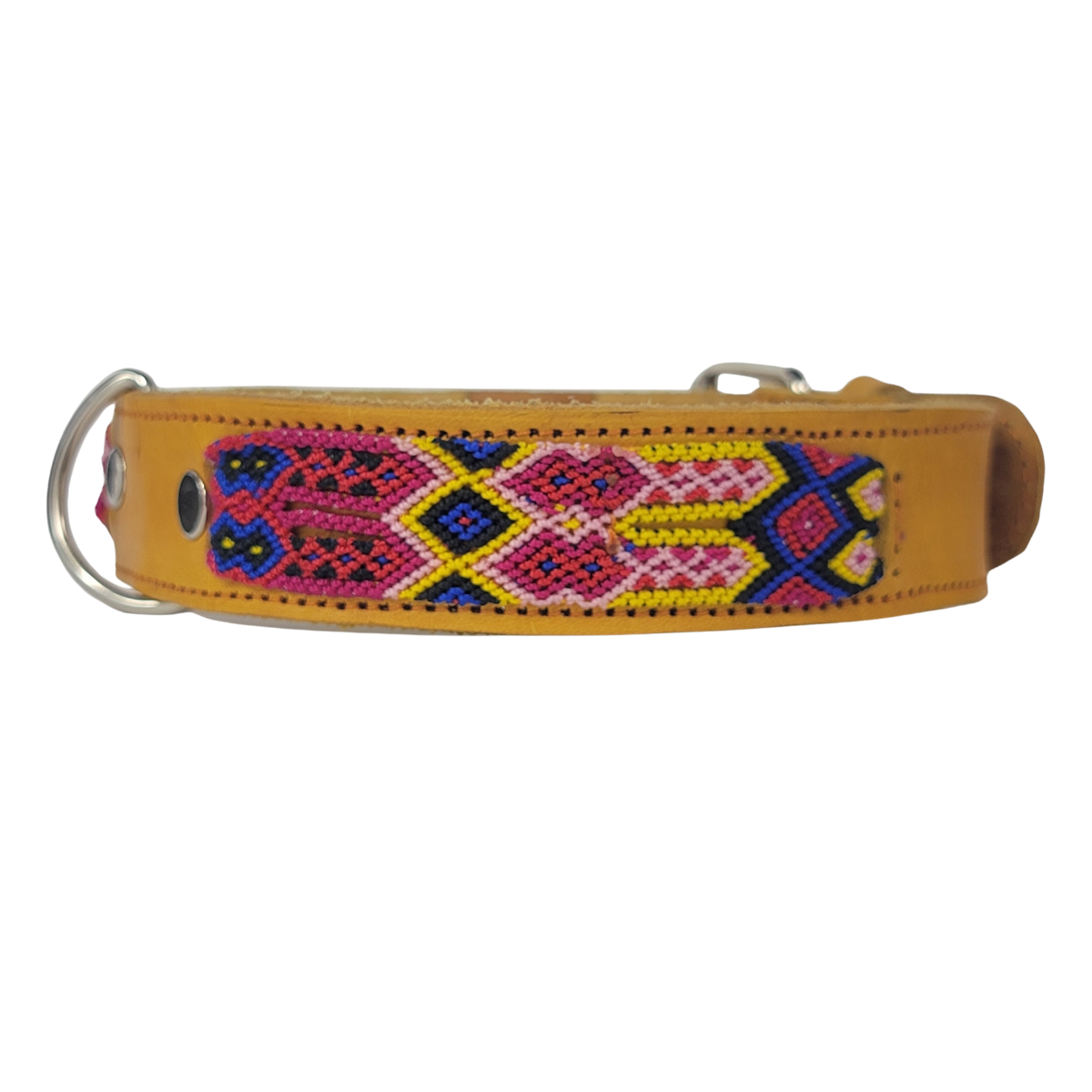 C5050 MEDIUM BUDGET FRIENDLY DOG COLLAR CHIAPAS (50 cm)