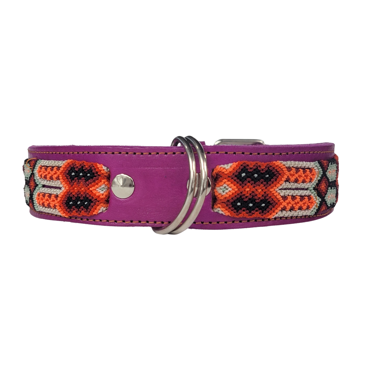 C5070 MEDIUM BUDGET FRIENDLY DOG COLLAR CHIAPAS (55 cm)