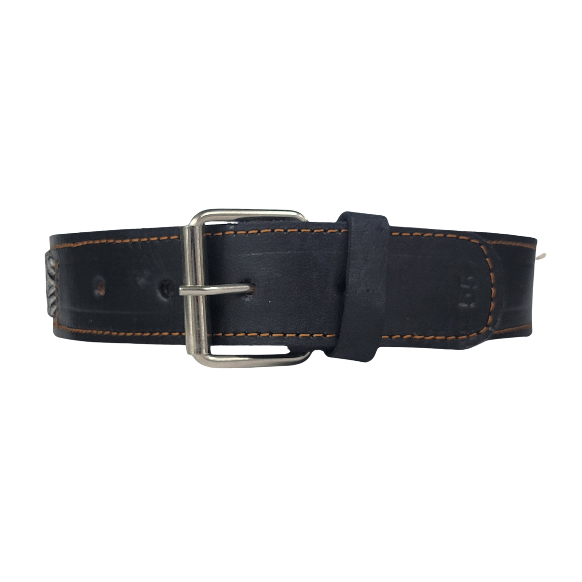 C5072 MEDIUM BUDGET FRIENDLY DOG COLLAR CHIAPAS (55 cm)