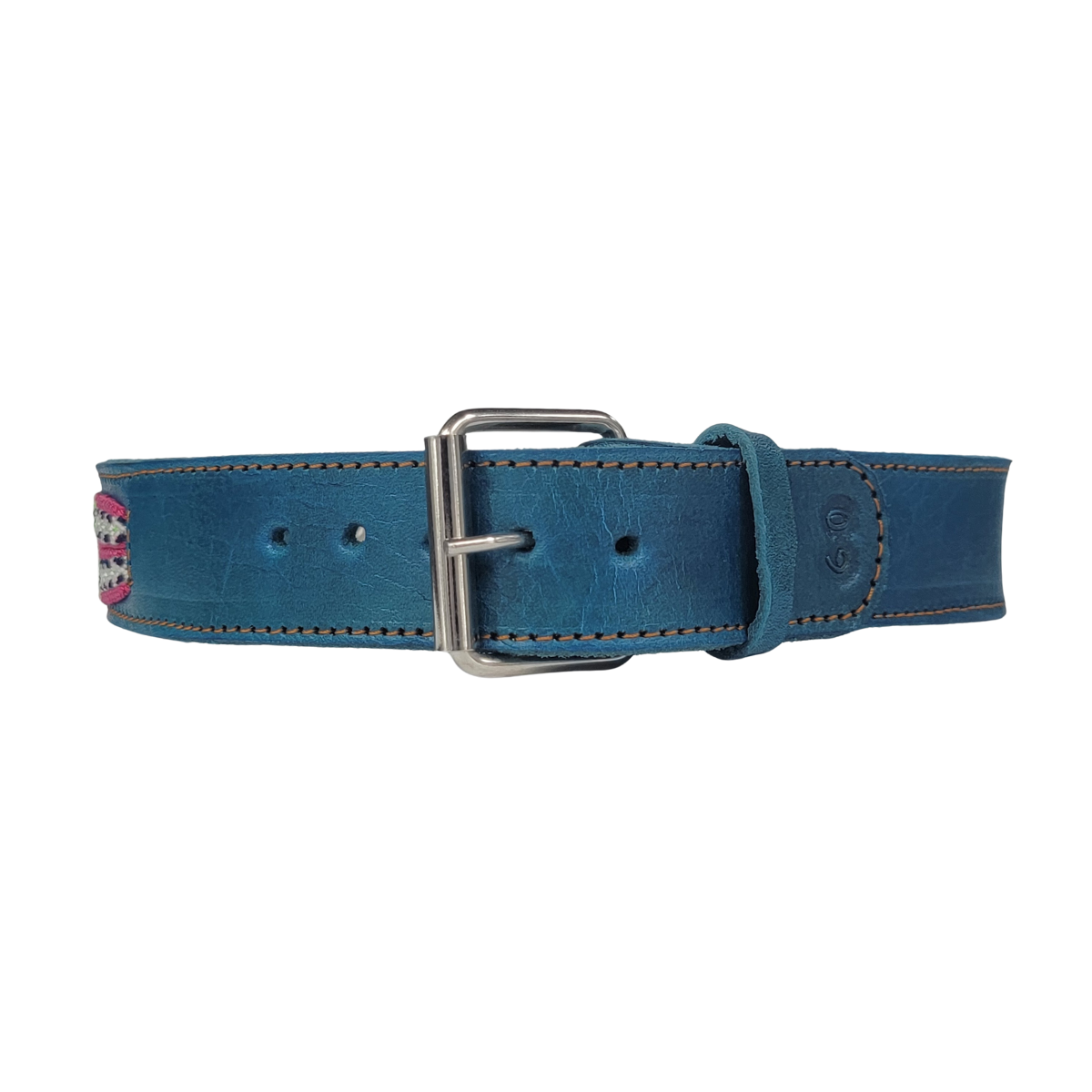 C5079 LARGE BUDGET FRIENDLY DOG COLLAR CHIAPAS (60 cm)
