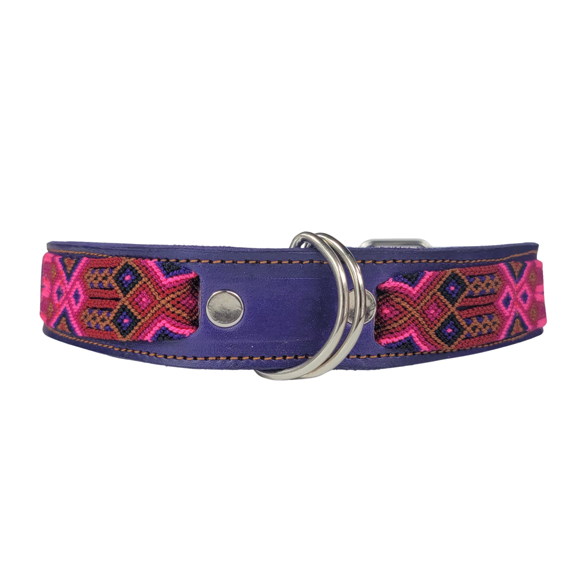 C5082 EXTRA LARGE BUDGET FRIENDLY DOG COLLAR CHIAPAS (65 cm)