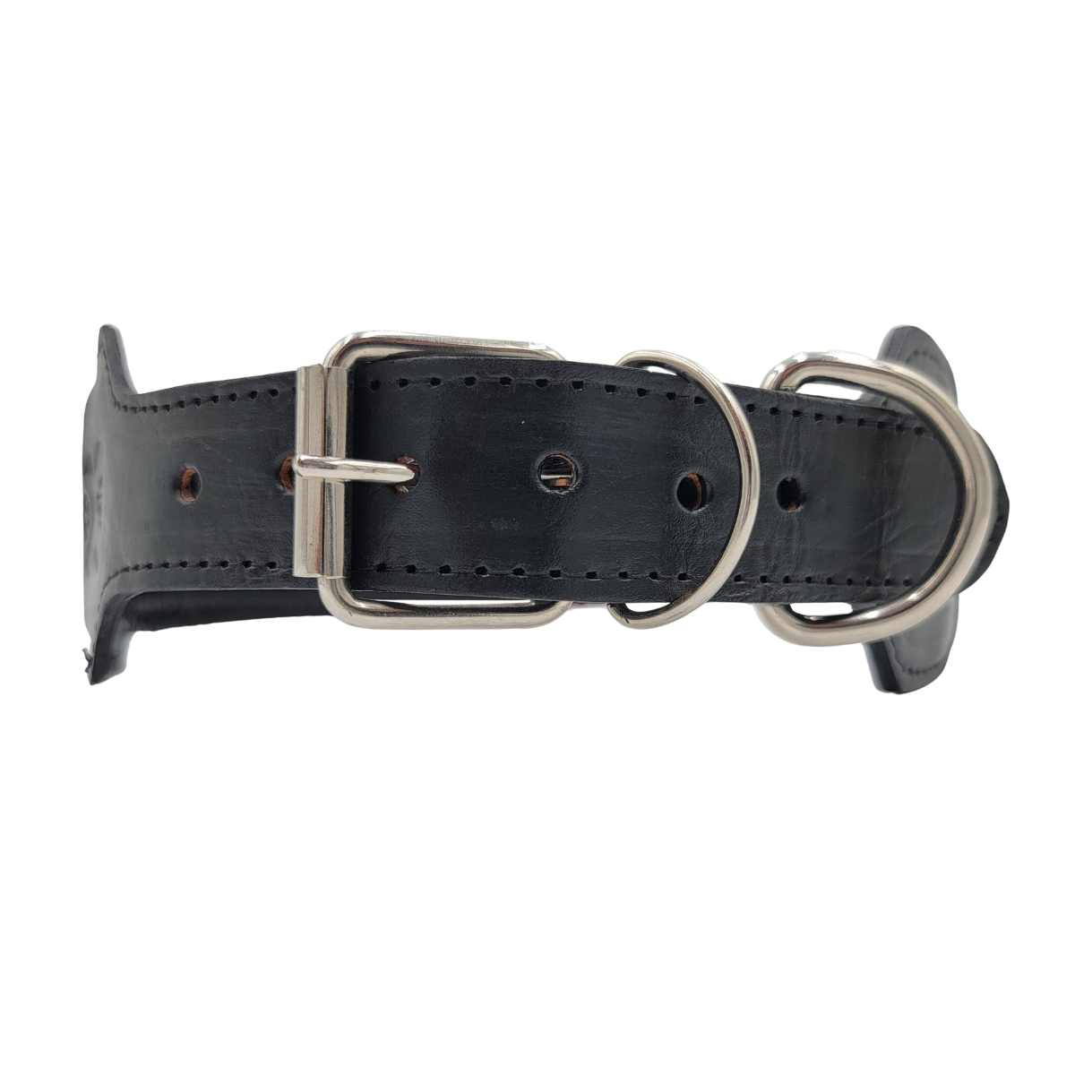 XL DOG COLLAR OAXACA | C5656