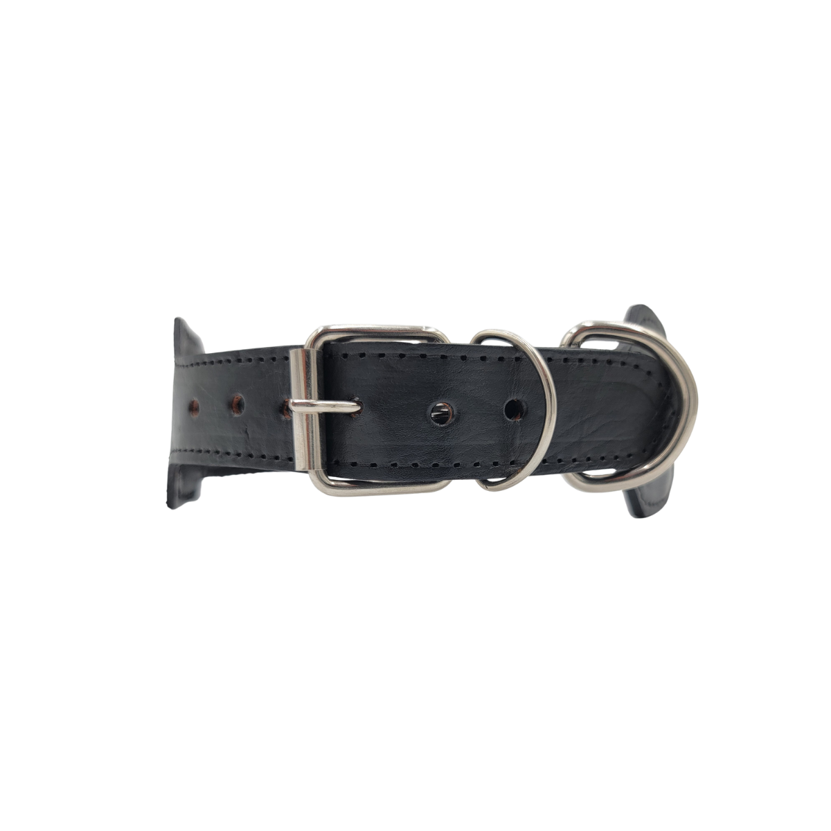 XL DOG COLLAR CHIAPAS | C5654