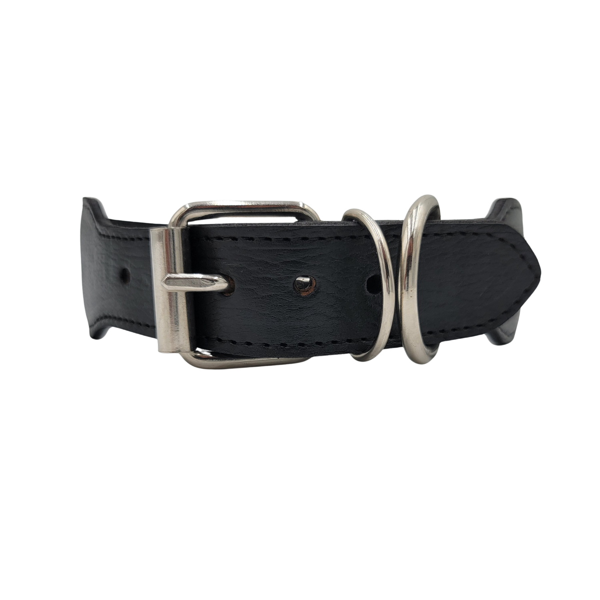 XL DOG COLLAR OAXACA | C5658