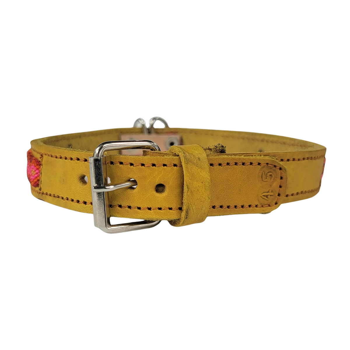 C5010 SMALL BUDGET FRIENDLY DOG COLLAR CHIAPAS (45 cm)