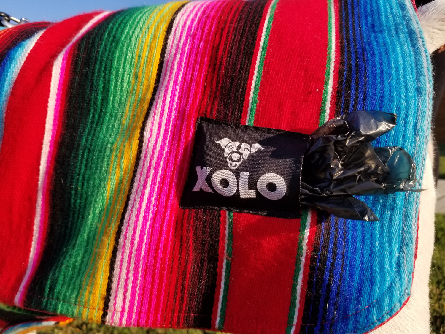 BLACK SARAPE TRADITIONAL DOG JACKET