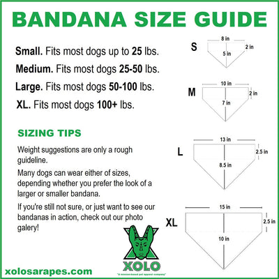 XL BLACK SARAPE DOG BANDANA 278