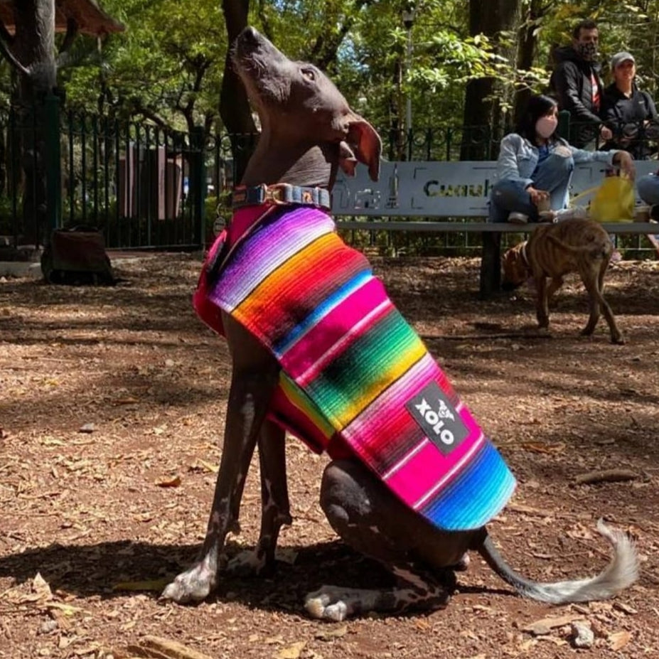 PINK SARAPE TRADITIONAL DOG JACKET