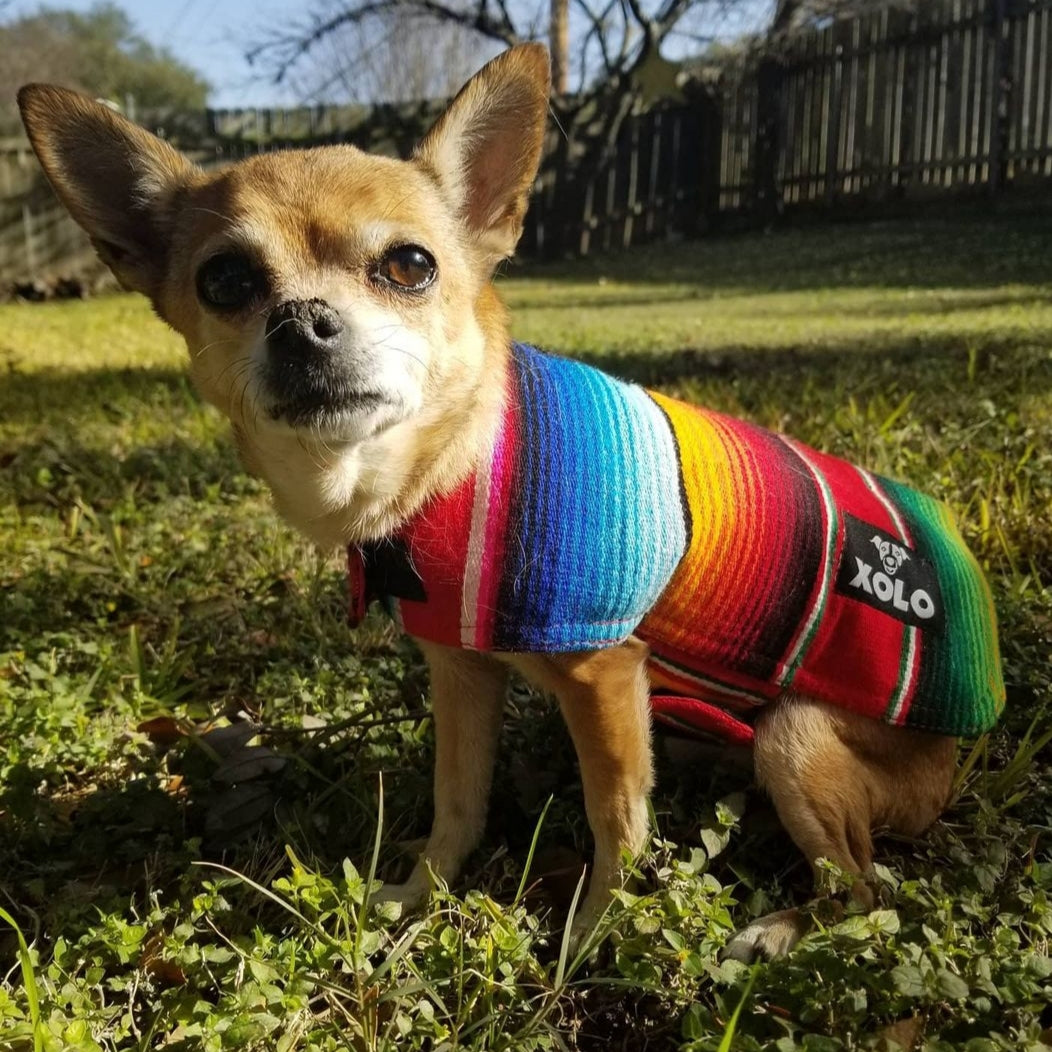 RED SARAPE TRADITIONAL DOG JACKET