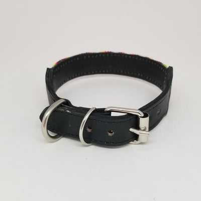 SMALL DOG COLLAR FROM CHIAPAS. C8628