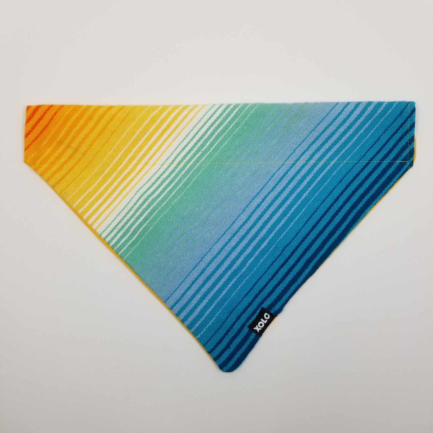 B300 EXTRA LARGE SARAPE DOG BANDANA RETRO